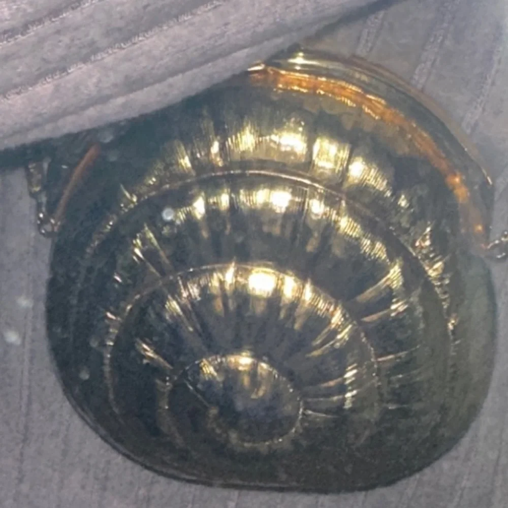 Vintage Gold Lined Snail Shell-Shaped Women's Metal Bag - Picture 7 of 7